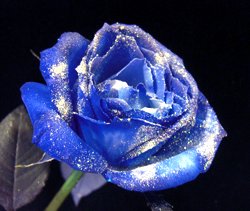 画像1: 【キラキラ☆ラメ仕様】人気の青バラ【ブルーローズ】10本キラキラ花束4800円