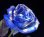 画像1: 【キラキラ☆ラメ仕様】人気の青バラ【ブルーローズ】10本キラキラ花束4800円 (1)