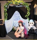 画像: 生誕祭ディスプレイ