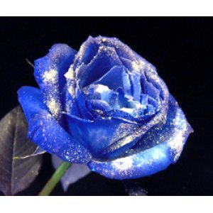 画像: 【キラキラ☆ラメ仕様】人気の青バラ【ブルーローズ】20本キラキラ花束8600円
